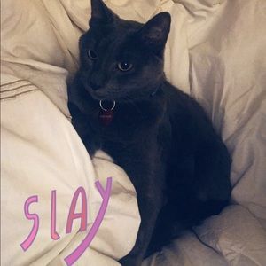 Meet your Posher, Jenna